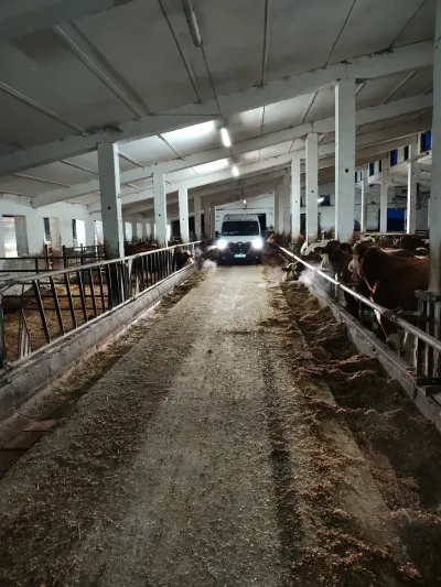 Vůz FINÁL CB stojí v&nbsp;uličce kravína u&nbsp;čištěných odpadů